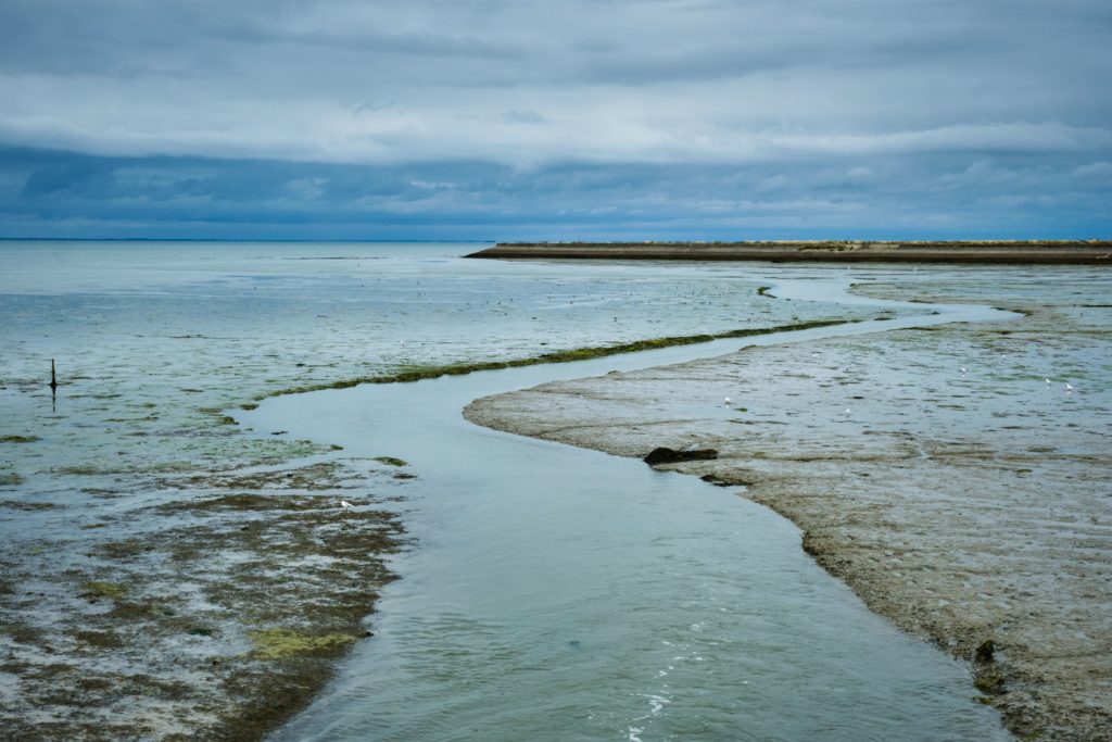 Oeuvre Marée basse Paysage et nature