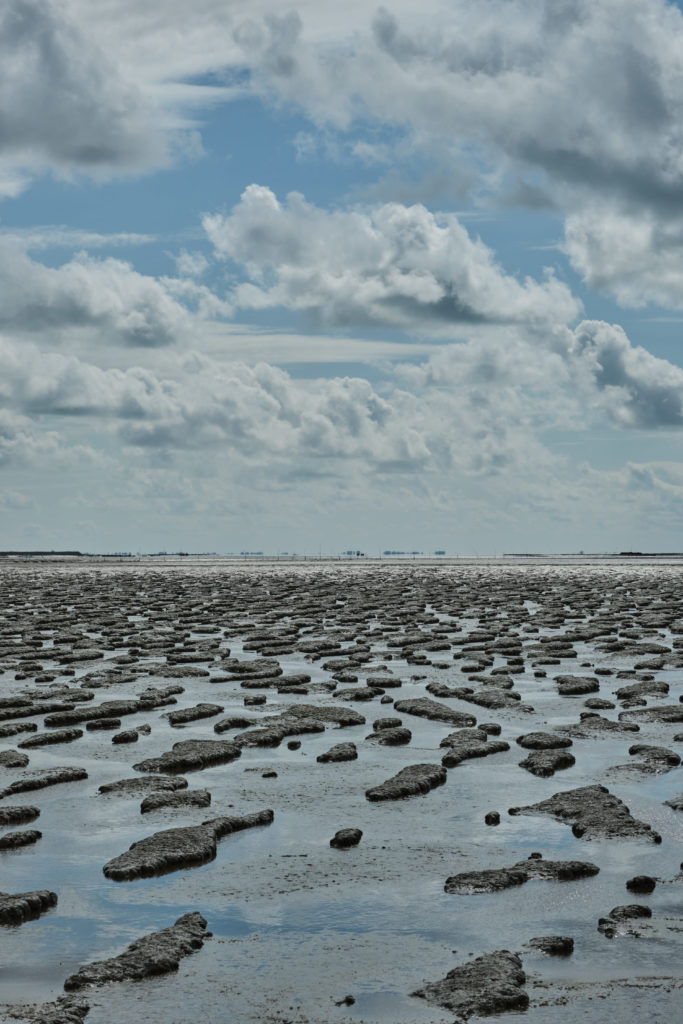 Oeuvre Archipel onirique Paysage et nature