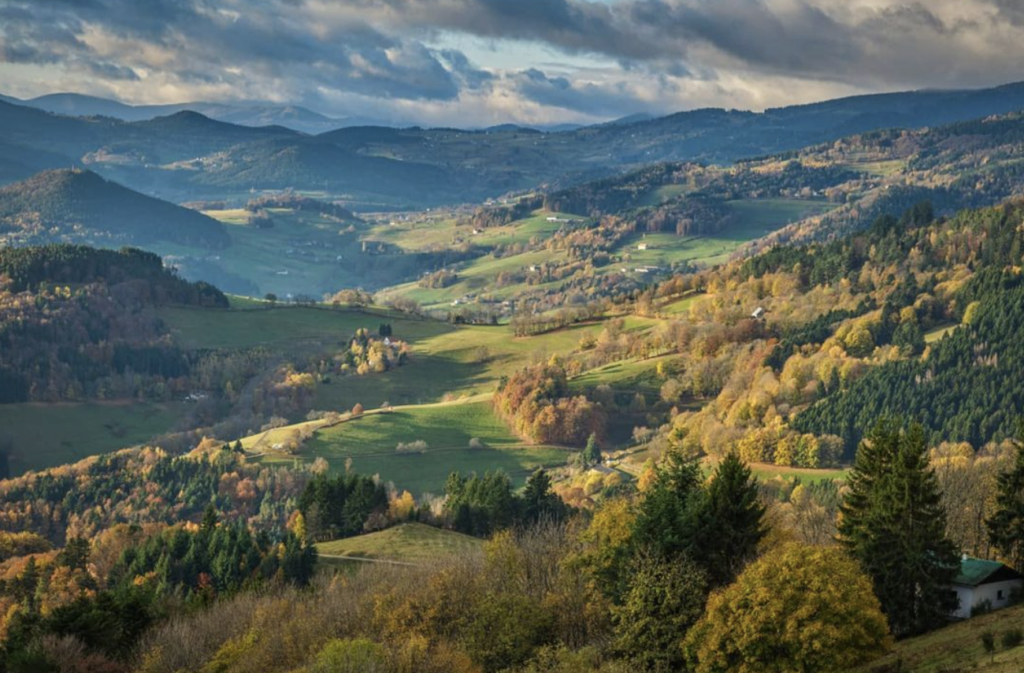 Oeuvre Col de Fréland Paysage et nature