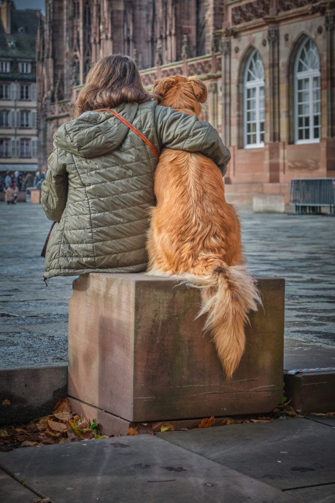 Oeuvre Le meilleur ami de l'homme Street photographie