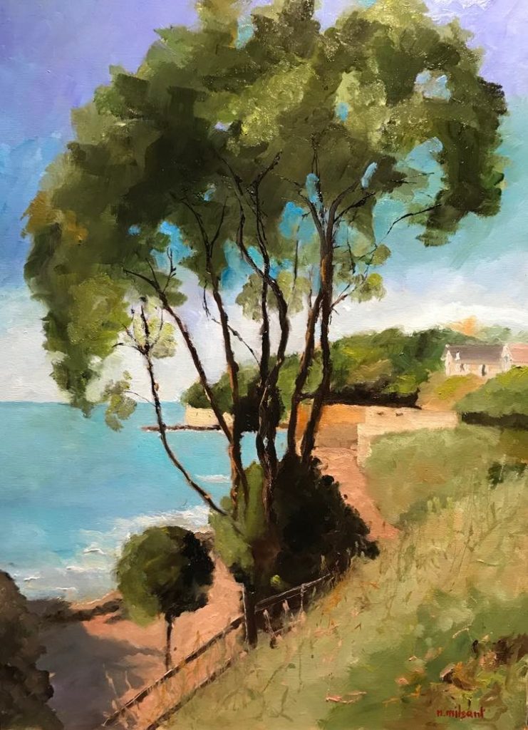 corniche bord de mer avec grand arbre et plage en contrebas