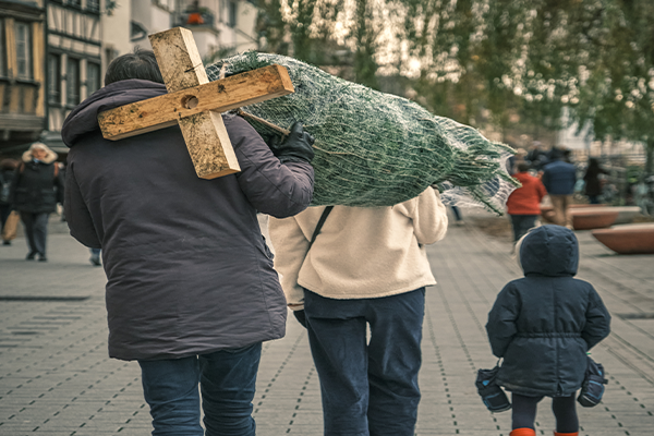 Homme qui porte un sapin de Noël à Strasbourg